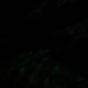 Meet your Posher, Key